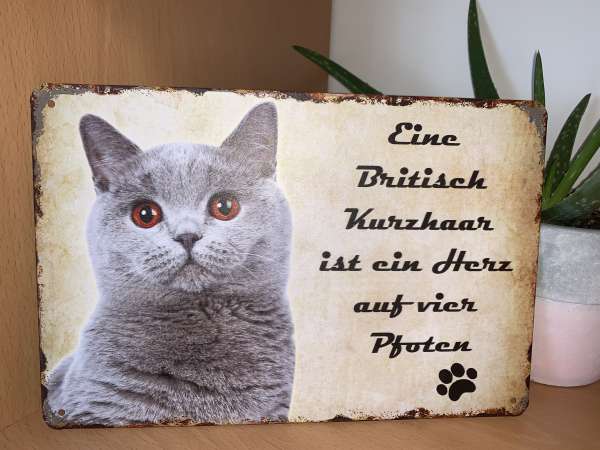 Tierschild Britisch Kurzhaar