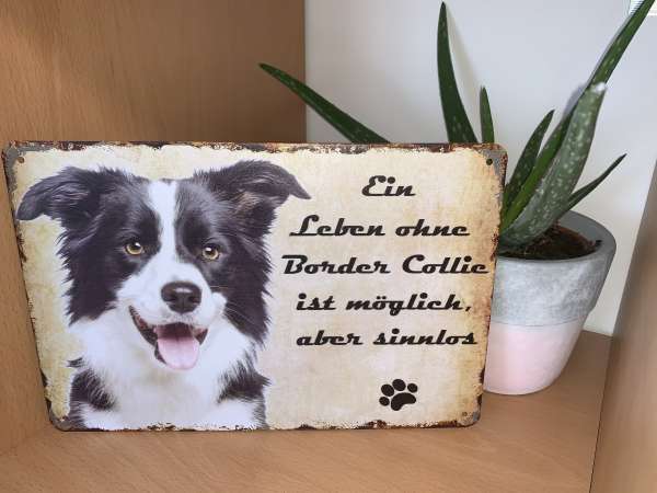Tierschild Border Collie